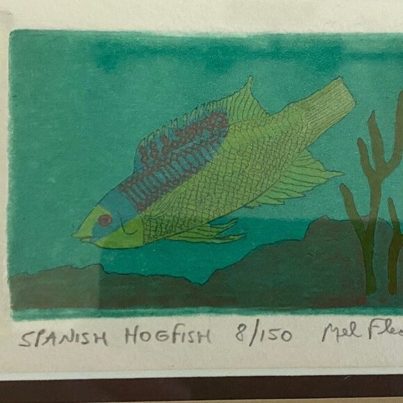 Mel Fleck Spanish Hogfish Art Signed Framed Original Print 8 of 150‎ 3 D Collage - Picture 12 of 16